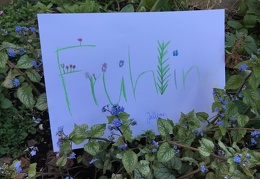 P4 EEB I Brüssel / Der FRÜHLING ist da! - display this album Der FRÜHLING ist da!