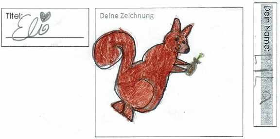 Lilas Eichhörnchen